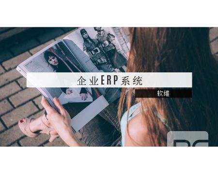 企業(yè)ERP系統(tǒng)